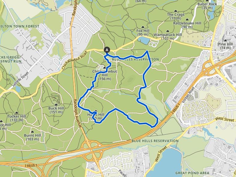 Bucle de Chicktawbut Hill, Hawk Hill & Great Cedar Swamp — Blue Hills